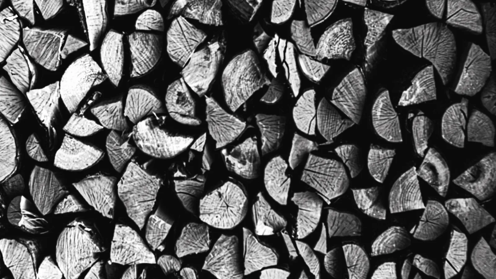 Stacked hardwood logs prepared for biochar production, illustrating carbon-dense feedstock structure and slow-pyrolysis suitability for regenerative soil amendment systems