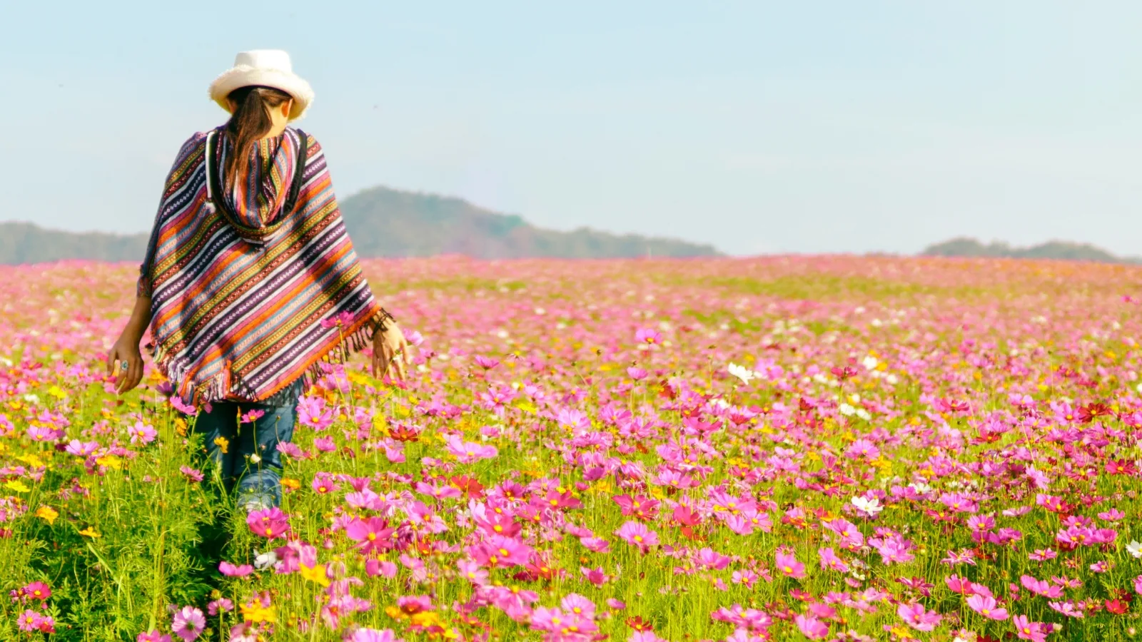 Woman walking through a flowering biodiversity strip supporting pollinator activity and ecological balance in organic crop rotation systems