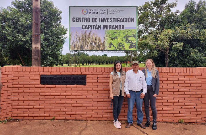 From left: Ing. Marta Fernández, Ing. Agr. Epifanio Altamirano Brítez and Dr. Emilia Mikulewicz at IPTA – Capitán Miranda (Itapúa, Paraguay) — field collaboration on native maize documentation and conservation.