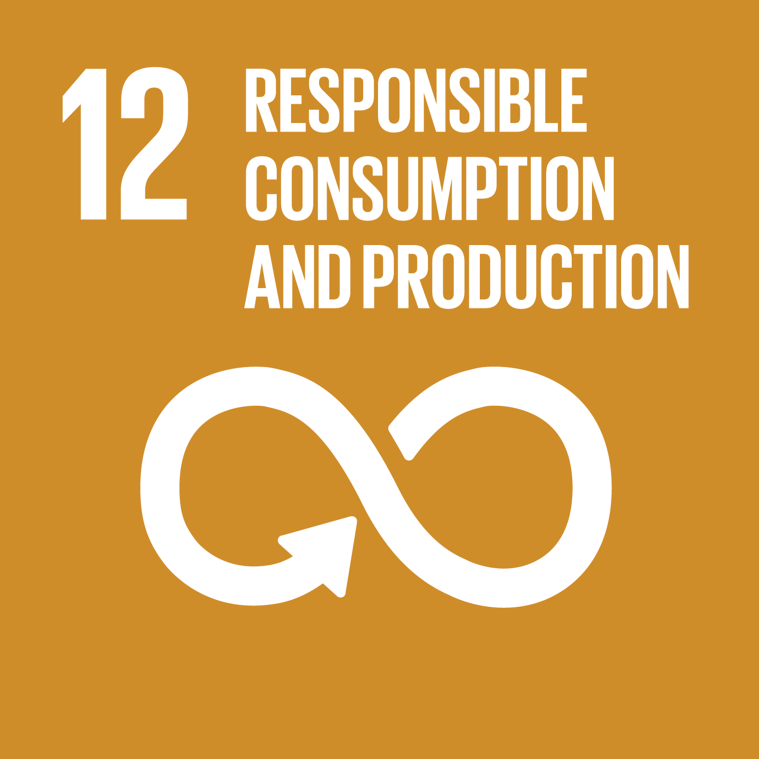 UN SDG 12 icon — Responsible Consumption and Production