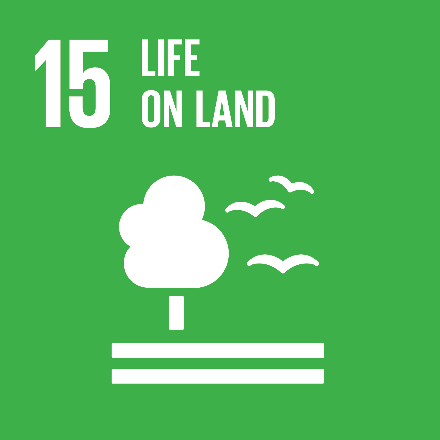 UN SDG 15 icon — Life on Land
