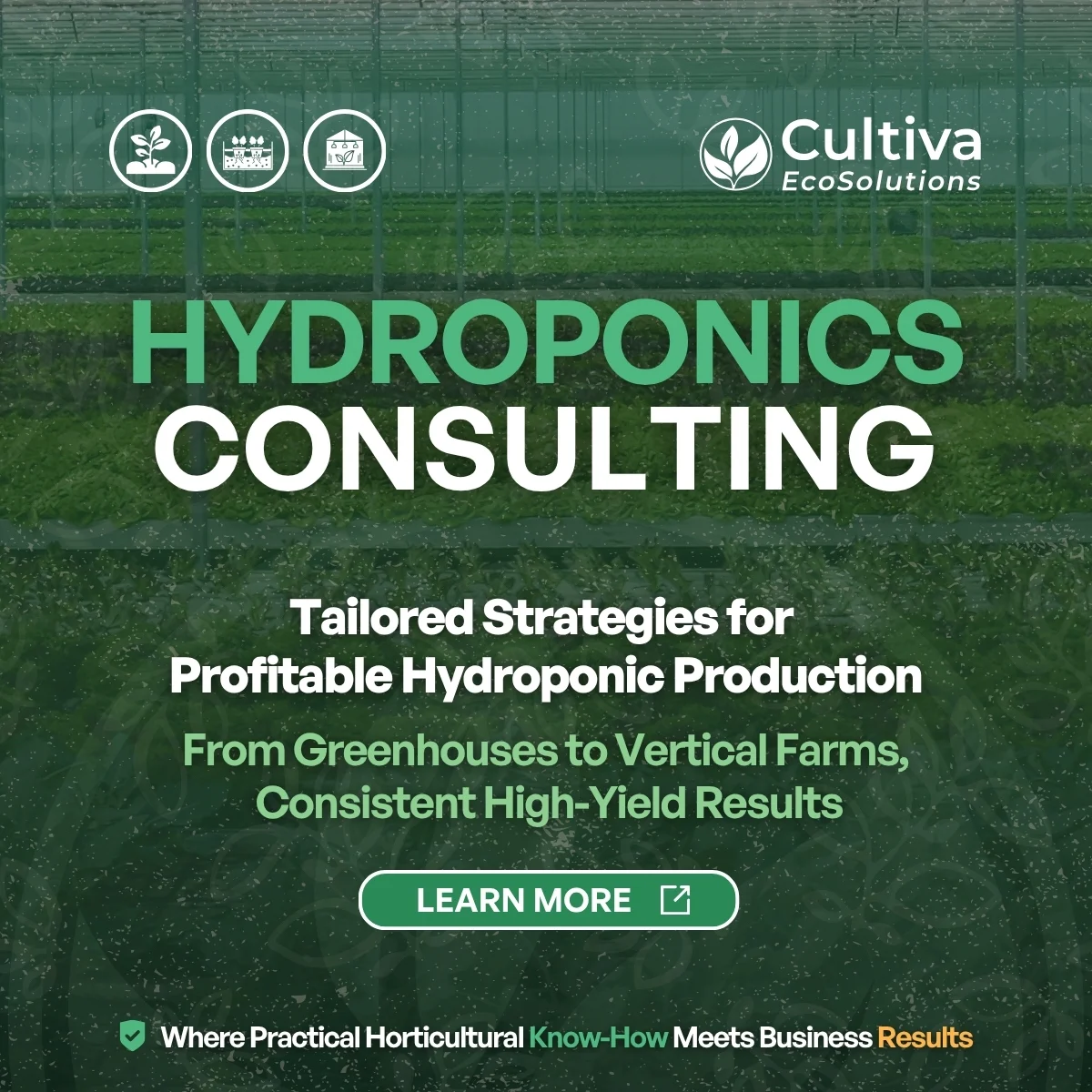 Cultiva EcoSolutions hydroponics consulting banner with greenhouse background and text: Hydroponics Consulting – Tailored Strategies for Profitable Hydroponic Production, From Greenhouses to Vertical Farms.