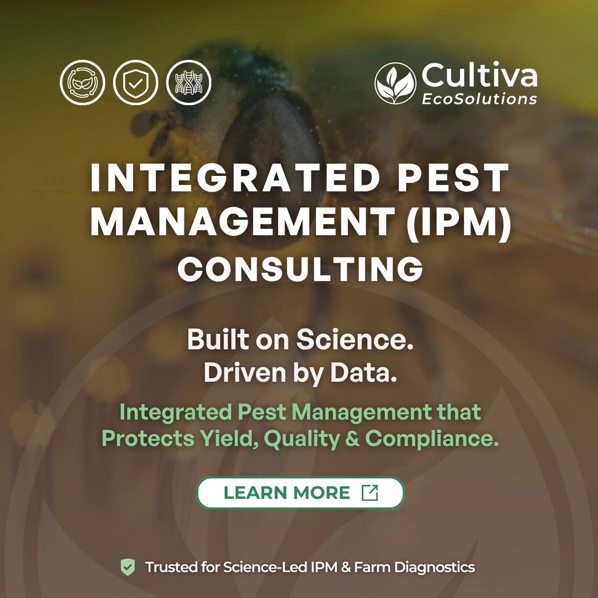Integrated Pest Management consulting and monitoring services by Cultiva EcoSolutions
