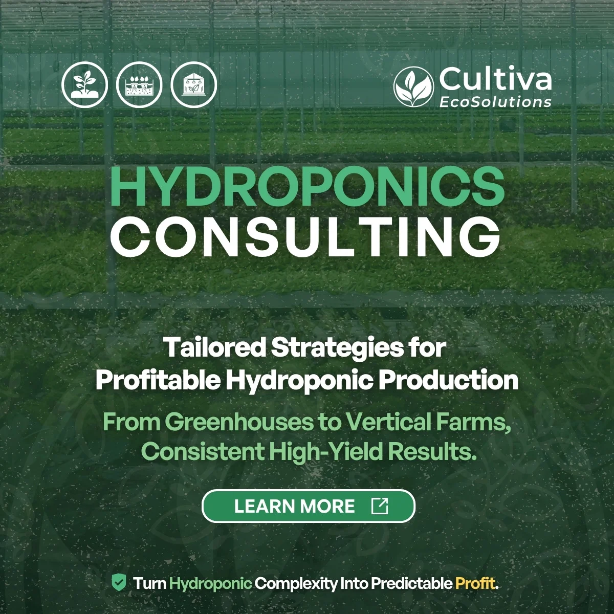 Cultiva EcoSolutions hydroponics consulting banner highlighting tailored strategies for profitable hydroponic production from greenhouses to vertical farms.