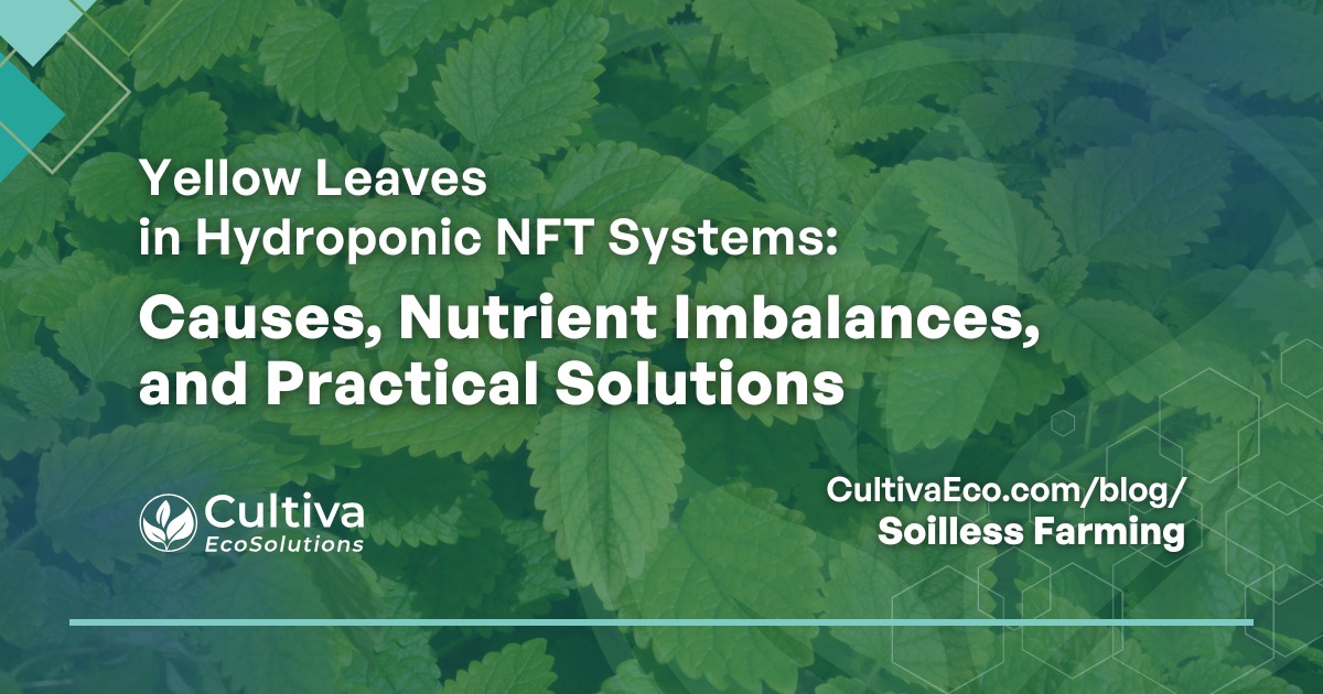 Featured graphic for the article “Yellow Leaves in Hydroponic NFT Systems: Causes, Nutrient Imbalances, and Practical Solutions” with Cultiva EcoSolutions logo over a leafy green background.